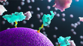 Zoom in of a microscopic protein